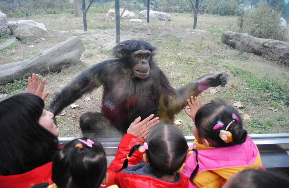 Chengdu Zoo